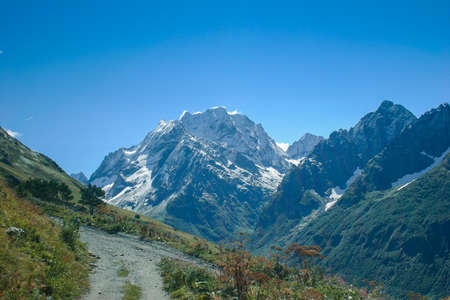Mountain summer landscape with forest and high peaks. Caucasus. A view of the main Caucasian ridge. Biosphere Reserve resort Dombay. The concept of travel and tourism.の写真素材