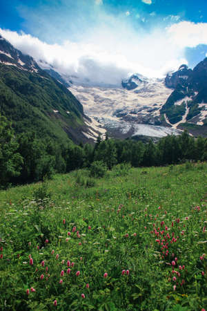 Mountain summer landscape with forest and high peaks. Caucasus. A view of the main Caucasian ridge. Biosphere Reserve resort Dombay. The concept of travel and tourism.の写真素材