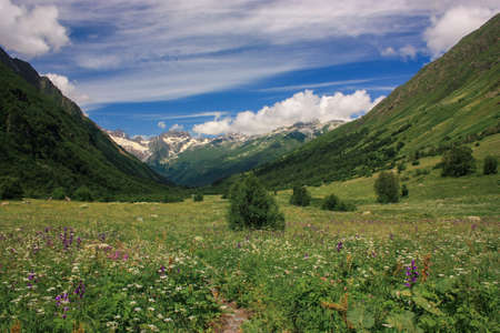 Mountain summer landscape with forest and high peaks. Caucasus. A view of the main Caucasian ridge. Biosphere Reserve resort Dombay. The concept of travel and tourism.の写真素材
