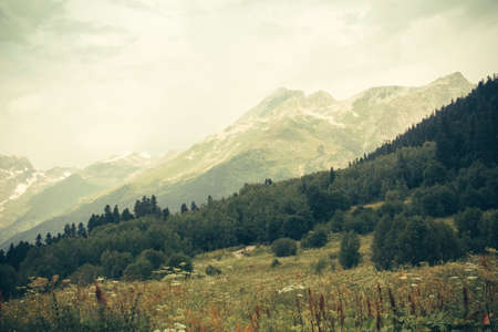 Mountain summer landscape with forest and high peaks. Caucasus. A view of the main Caucasian ridge. Biosphere Reserve resort Dombay. The concept of travel and tourism.の写真素材