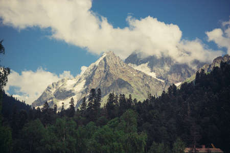 Mountain summer landscape with forest and high peaks. Caucasus. A view of the main Caucasian ridge. Biosphere Reserve resort Dombay. The concept of travel and tourism.の写真素材