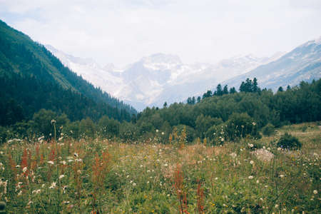 Mountain summer landscape with forest and high peaks. Caucasus. A view of the main Caucasian ridge. Biosphere Reserve resort Dombay. The concept of travel and tourism.の写真素材