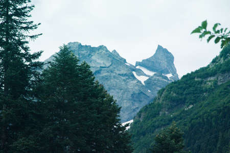 Mountain summer landscape with forest and high peaks. Caucasus. A view of the main Caucasian ridge. Biosphere Reserve resort Dombay. The concept of travel and tourism.の写真素材