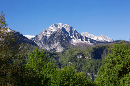 Mountain landscape with trees and alpine meadows on a background of snowy peaks. The concept of travel, tourism, adventure, lifestyle and freedom.の写真素材