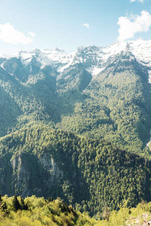 Mountain landscape with trees and alpine meadows on a background of snowy peaks. The concept of travel, tourism, adventure, lifestyle and freedom.の写真素材