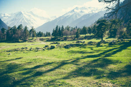 Mountain landscape with trees and alpine meadows on a background of snowy peaks. The concept of travel, tourism, adventure, lifestyle and freedom.の写真素材
