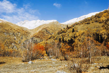 Mountains autumn landscape high peaks scenery wild nature calm scene. Lifestyle active travel, hiking. Scenic scenery of wild snowy mountains and alpine valleys.の写真素材