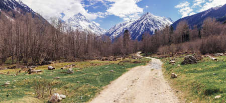Mountain landscape in spring, road through the alpine meadow on a background of snowy peaks. The concept of travel, tourism, adventure, lifestyle and freedom.の写真素材