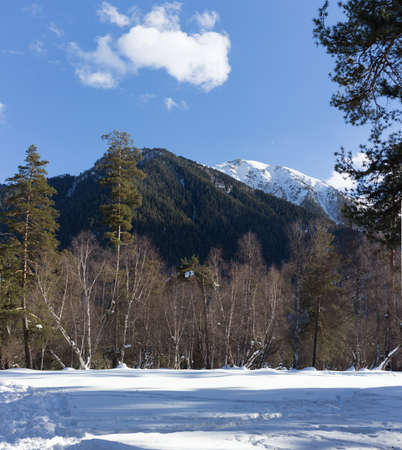 Winter panorama of the mountain with valleys and forest. Caucasus. Landscape of high peaks in clear weather. The concept of travel and leisure, winter sports, lifestyle, adventure.の写真素材