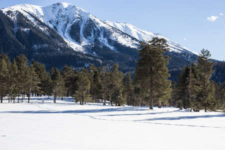 Winter panorama of the mountain with valleys and forest. Caucasus. Landscape of high peaks in clear weather. The concept of travel and leisure, winter sports, lifestyle, adventure.の写真素材