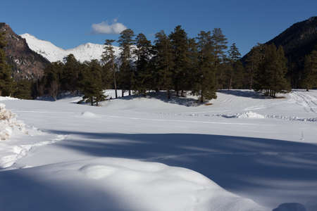 Winter panorama of the mountain with valleys and forest. Caucasus. Landscape of high peaks in clear weather. The concept of travel and leisure, winter sports, lifestyle, adventure.の写真素材