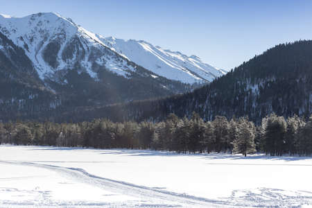 Winter panorama of the mountain with valleys and forest. Caucasus. Landscape of high peaks in clear weather. The concept of travel and leisure, winter sports, lifestyle, adventure.の写真素材