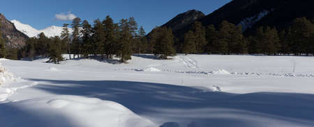 Winter panorama of the mountain with valleys and forest. Caucasus. Landscape of high peaks in clear weather. The concept of travel and leisure, winter sports, lifestyle, adventure.の写真素材