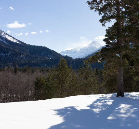 Winter panorama of the mountain with valleys and forest. Caucasus. Landscape of high peaks in clear weather. The concept of travel and leisure, winter sports, lifestyle, adventure.の写真素材