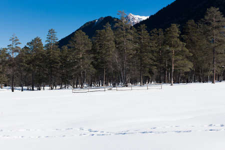 Winter panorama of the mountain with valleys and forest. Caucasus. Landscape of high peaks in clear weather. The concept of travel and leisure, winter sports, lifestyle, adventure.の写真素材