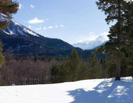 Winter panorama of the mountain with valleys and forest. Caucasus. Landscape of high peaks in clear weather. The concept of travel and leisure, winter sports, lifestyle, adventure.の写真素材