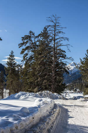 Winter panorama of the mountain with valleys and forest. Caucasus. Landscape of high peaks in clear weather. The concept of travel and leisure, winter sports, lifestyle, adventure.の写真素材