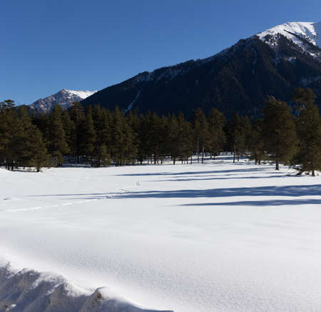 Winter panorama of the mountain with valleys and forest. Caucasus. Landscape of high peaks in clear weather. The concept of travel and leisure, winter sports, lifestyle, adventure.の写真素材