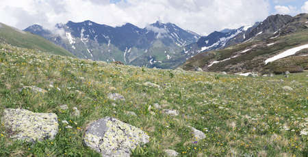 The mountains of landscape summer, the colorful amazing nature of alpine meadows. The concept of adventure, hiking, traveling.の写真素材