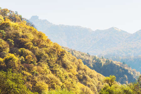 Sunny scene colorful mountains autumn landscape. View of the valley with yellow trees and peaks. Colorful scene of the autumn season.の写真素材