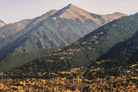Autumn alpine landscape on a sunny day. Highlands scene with peaks and forest.の写真素材