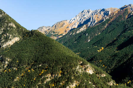 Mountain autumn landscape with colorful forest and high peaks. Alpine scene of coniferous and deciduous forests and high peaks close-upの写真素材
