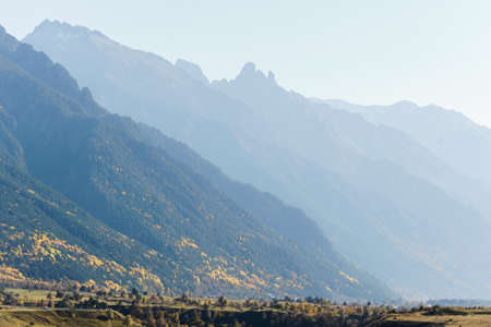 Mountain autumn landscape in the fog with colorful forest and high peaks. Alpine scene rocky valley forest covered slopes.の写真素材
