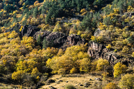 Rocky autumn landscape with colorful forest. Alpine scene mountain slopes covered with yellow and coniferous trees.の写真素材