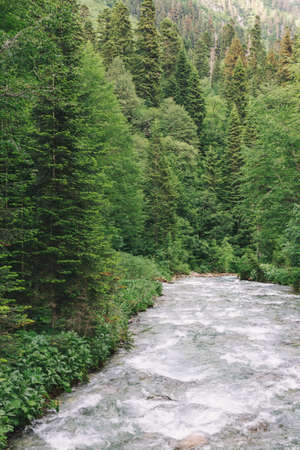 Mountains river and coniferous Forest landscape Travel wild nature Landscape Travel scenery summer...