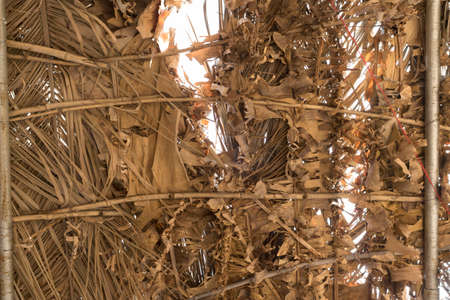 Texture background building or fence wall dry palm leaves, reed, bamboo or straw. Natural materials for home in tropical places in India. Good ecology and rural life.の写真素材