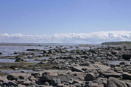 White Seaの写真素材