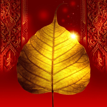close up of yellow gold leaf on red background の写真素材