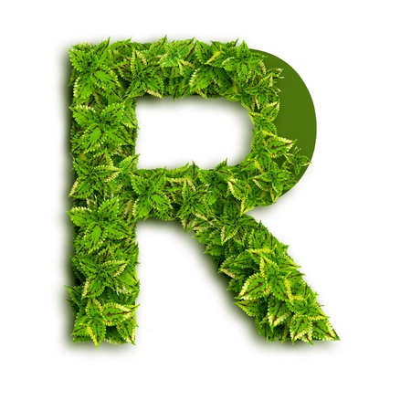 Letter R, alphabet of green leaves isolated on white background. Letter R, alphabet of green leaves isolated on white background.