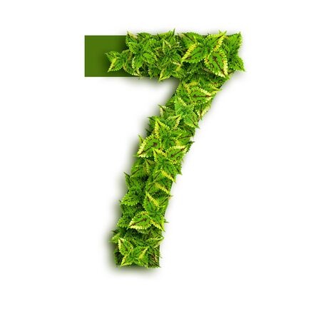 Number 7, alphabet of green leaves isolated on white background. の写真素材
