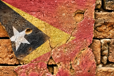Grunge flag of Timor on old wall background の写真素材