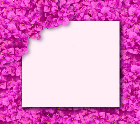 White card on purple bougainvillea flowers background.の写真素材