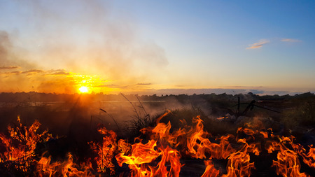 fire burning dry grass and sunset in the evening.