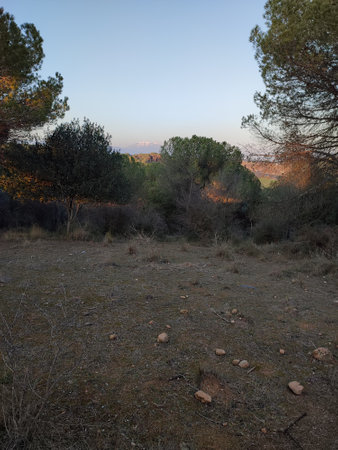 spanish landscapewith mountain in the far, blue sky and some treesの写真素材