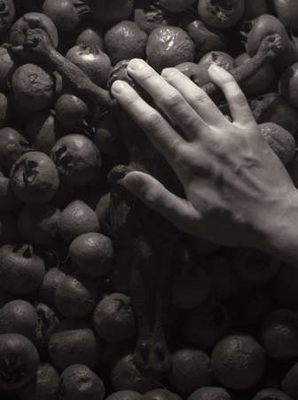 Concept shot of a hand covering the eyes of Jesusの写真素材