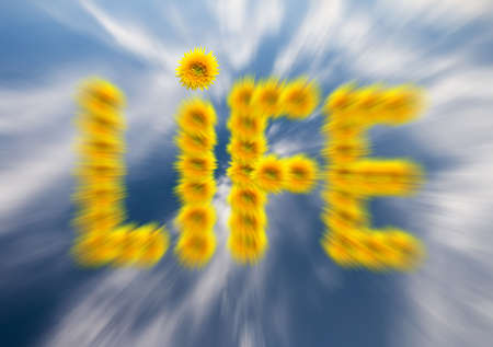 Conceptual shot of a blurred life with the の写真素材