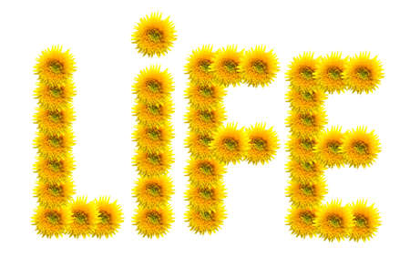 Concept shot of composited sunflowers depicting the word life.の写真素材
