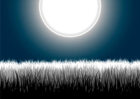 Vector illustration of detailed grass leaves on a gradient night moon skyのイラスト素材