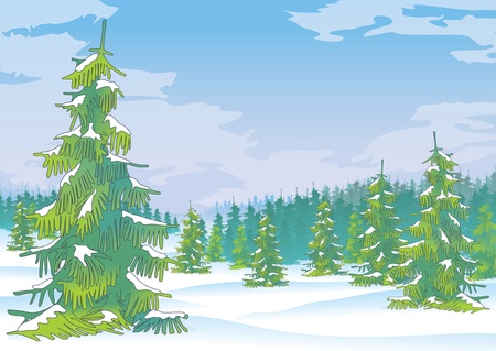 winter forest, vectorのイラスト素材