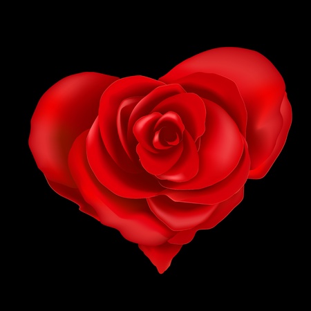 Red roses in heart shape, isolated on a black background, vectorのイラスト素材