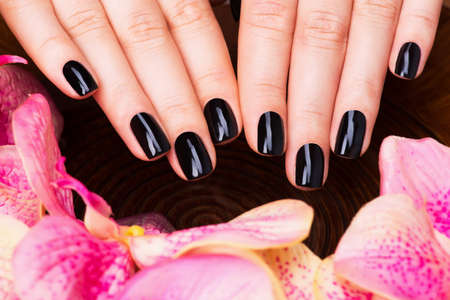 Beautiful women hands with black manicure after Spa procedures - Spa treatment concept