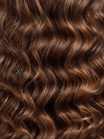 Girl with long, curly hair, rear view. Hair texture, close-up. Long brown curly hair - back view.