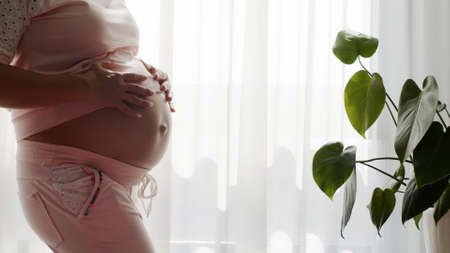 Pregnant woman expecting a baby. Adult pregnant woman feeling happy at home while strokes her child in  a belly. Pregnant woman  near window at home strokes touches her big belly.の写真素材