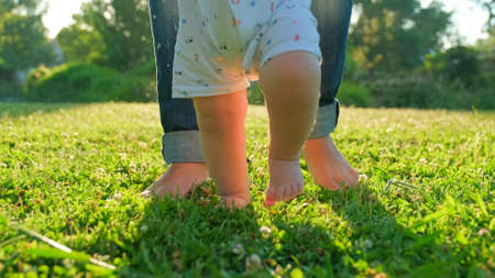 Child learns to take the first steps on the grass. Baby learns to walk with the help of his mother on a green grass in the park.  Walking children's bare feet on a green lawn close-up.の写真素材