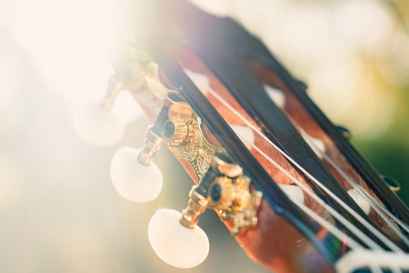 Close-up of the guitar head of a classical guitar with gold pegs. Part of a classical guitar on a blurry background in the park. Head of guitar with nylon strings.の写真素材