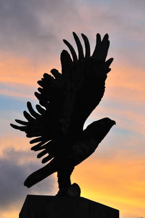 Silhouette hawk statue in sunset lightの写真素材